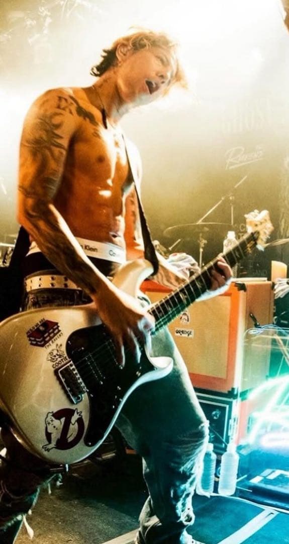 ポールリードスミス prs NF3 降谷建志 kj 楽器・機材