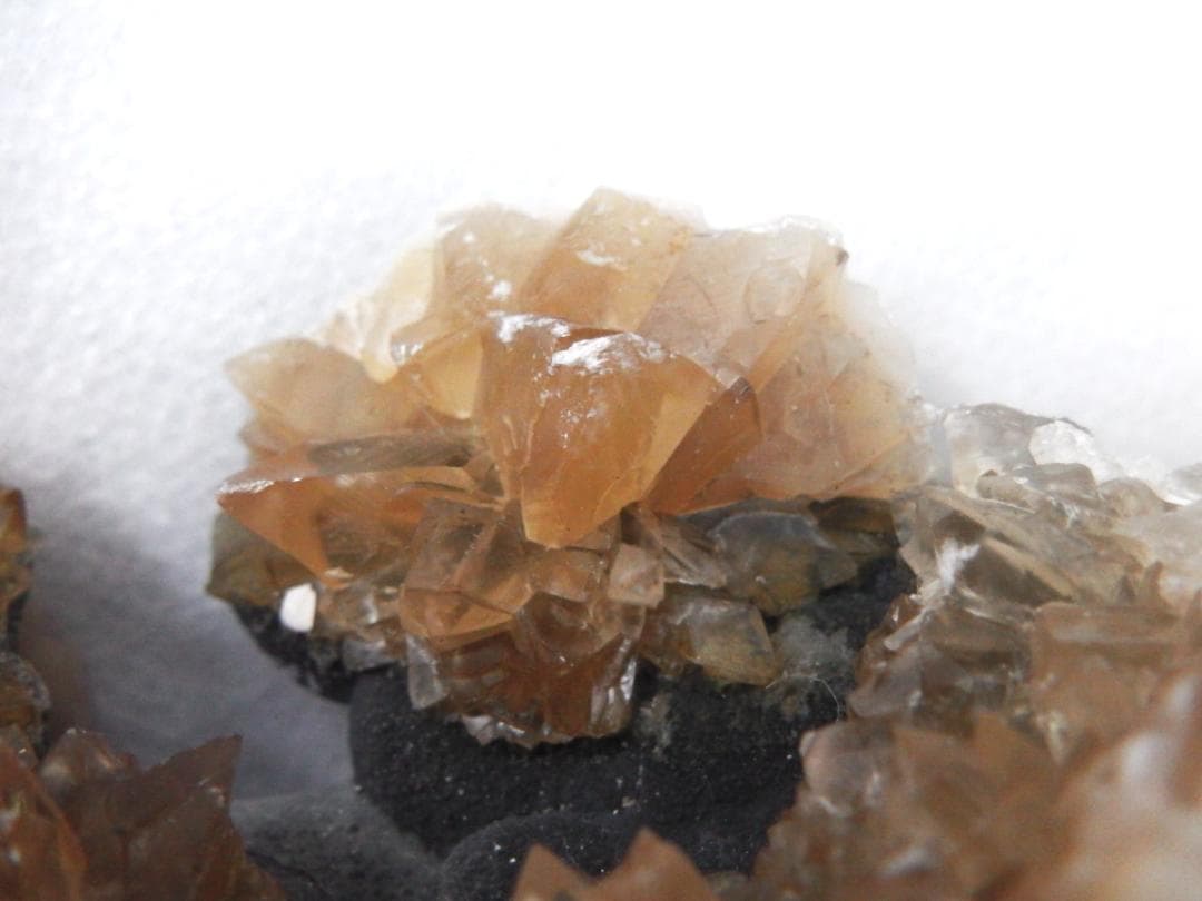 m盆・・・さま専用：方解石化した二枚貝の化石 カルサイト 鉱物標本