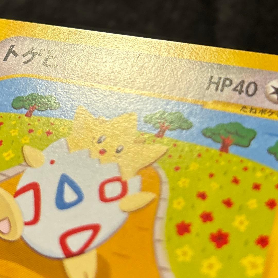 p*a様 #ゆんの気まぐれオークション　（梅）　トゲピー　トゲチック