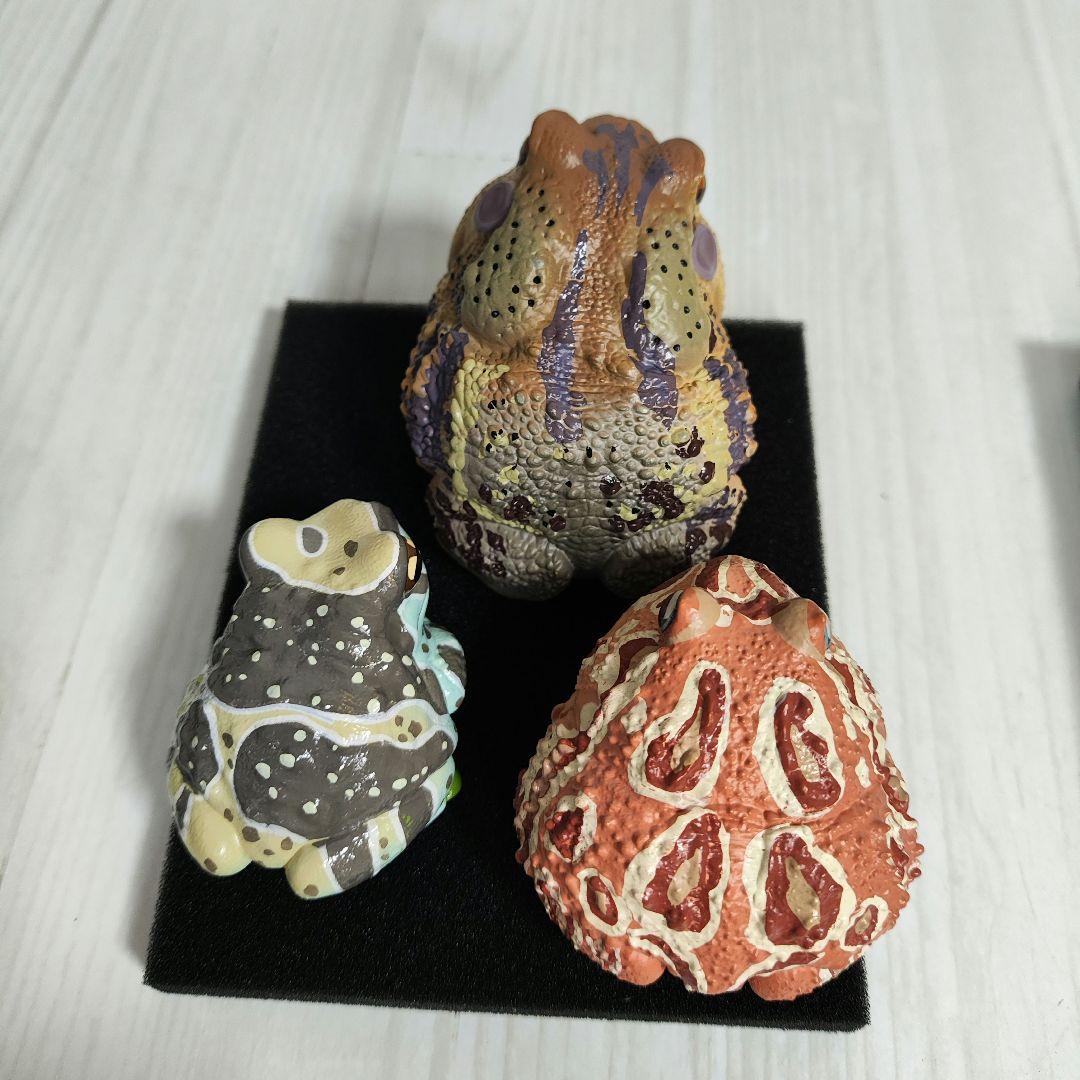 【動物の惑星】スーパーレア!韓国限定リリー&150体限定カエル!! フィギュア