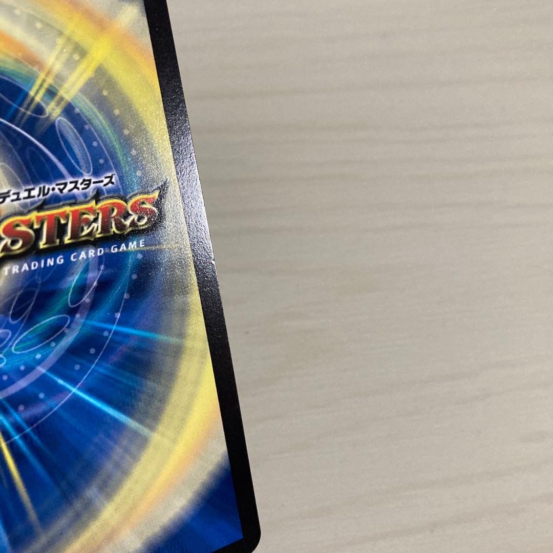 メルカリ便 聖霊超王 Hアルカディアス 秘 シク シークレット