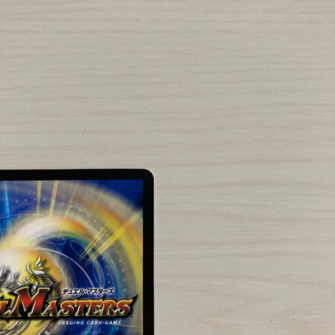 メルカリ便 聖霊超王 Hアルカディアス 秘 シク シークレット