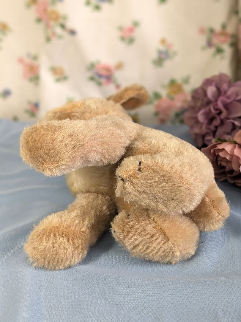 アンティーク シュタイフ社 ドイツ製 犬ぬいぐるみ パグ モプシー 大