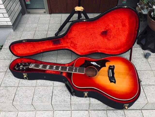 MWD-03 MORRIS ハミングバード 良い 程度かなりいいです MWD-03 MORRIS