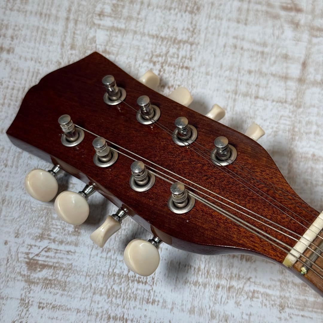 ムシカリア　Musikalia　マンドリン　イタリア製