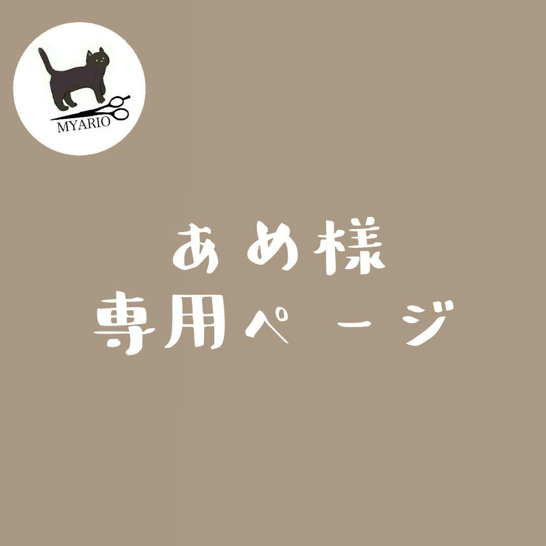 現代アートリアリズム西野親【しらないじかんじゆうじかん】