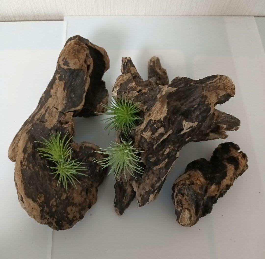 シグノ様 流木465 468 469 リクエスト 3点 おまとめ商品の通販はau PAY