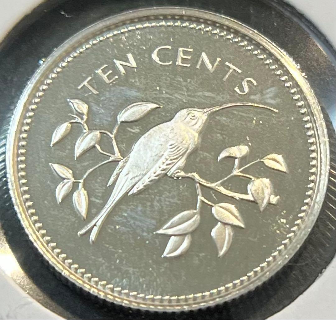 さき　Saki’s House