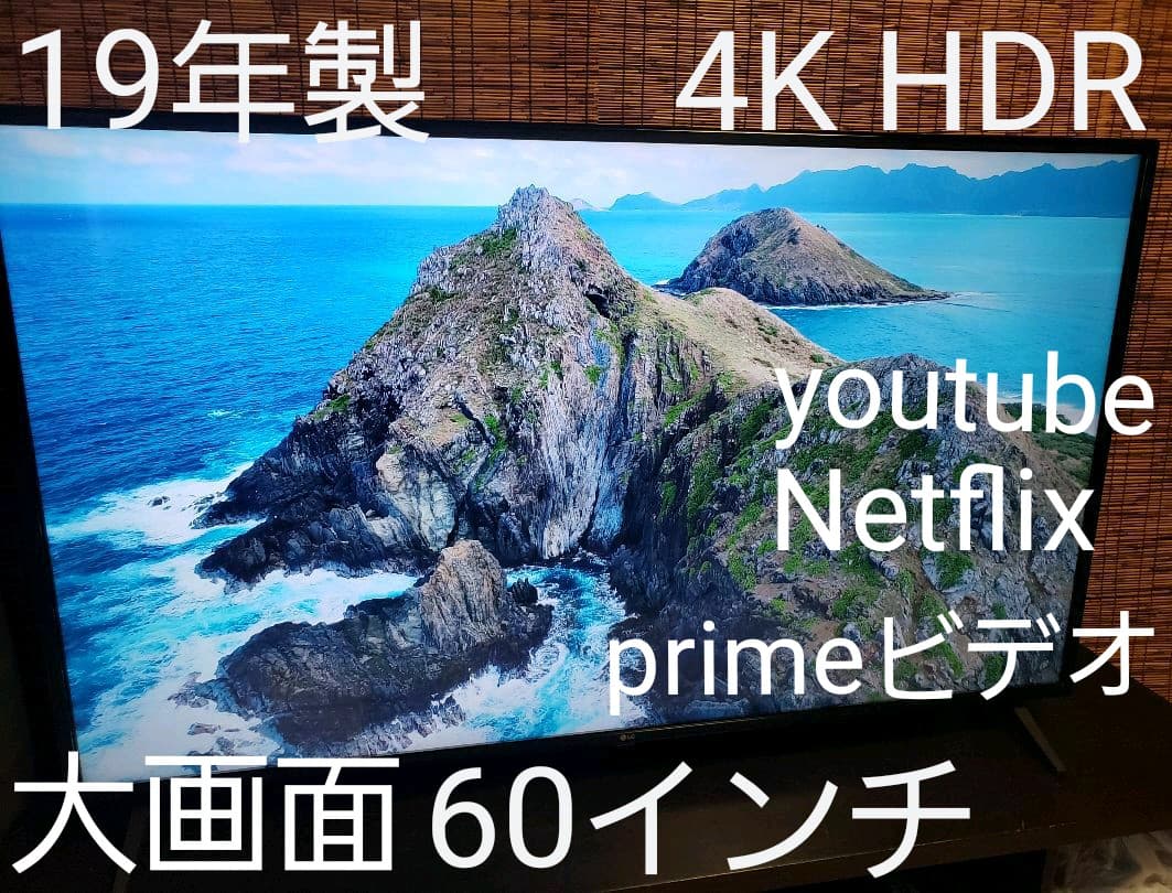 60UK6200PJA ベスト 60インチ 4K 液晶テレビ 2019年製