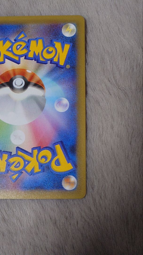 ぬ*ま様 リザードン ガブリアス　25周年