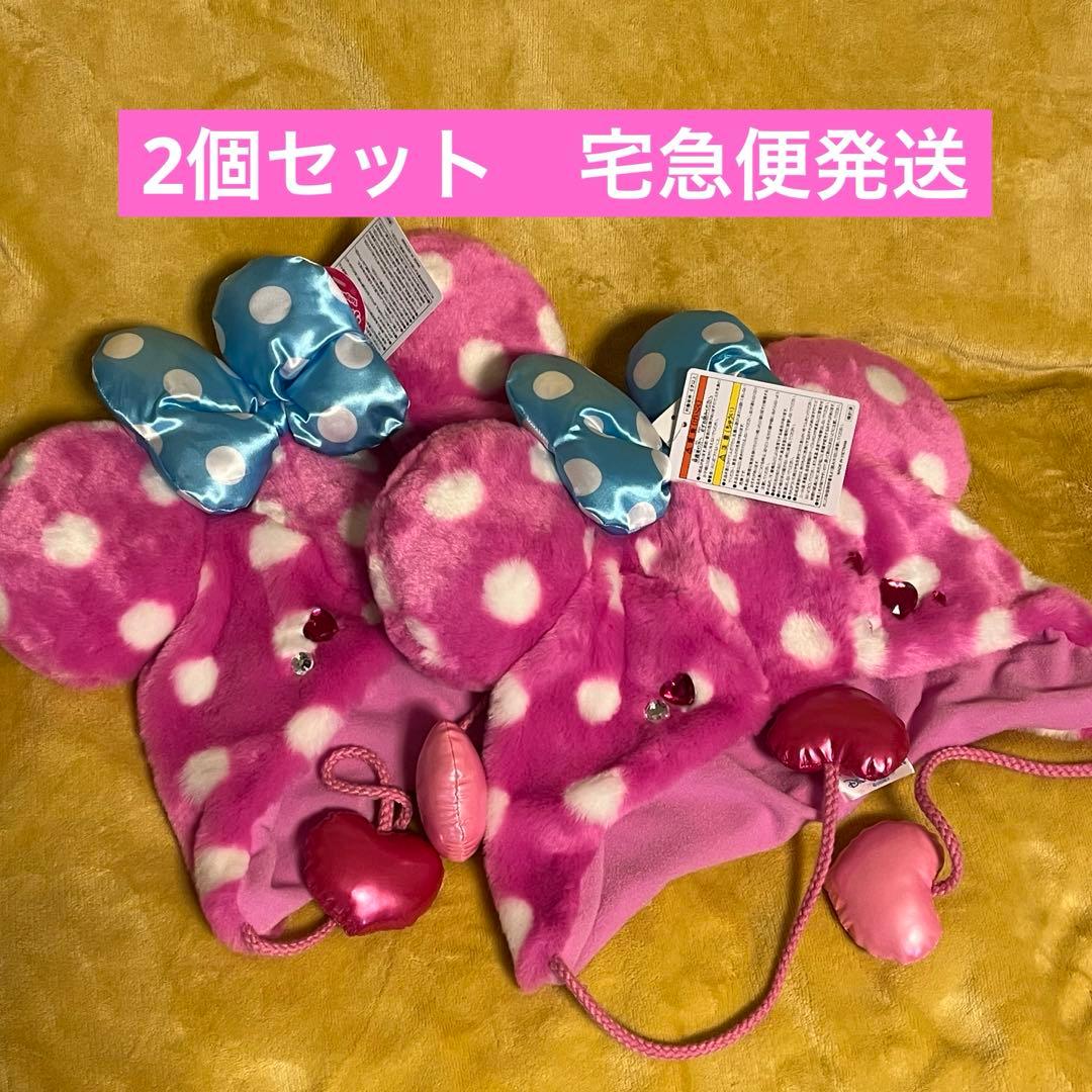 ディズニー ファンキャップ ミニー ファンダーランド パルパルーザ