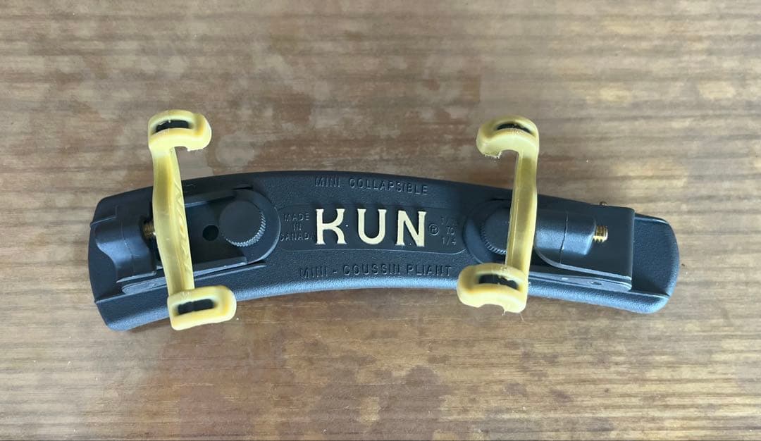 バイオリン本体と弓セット(子ども用　サイズ: 1/10) 鈴木バイオリン　入門用