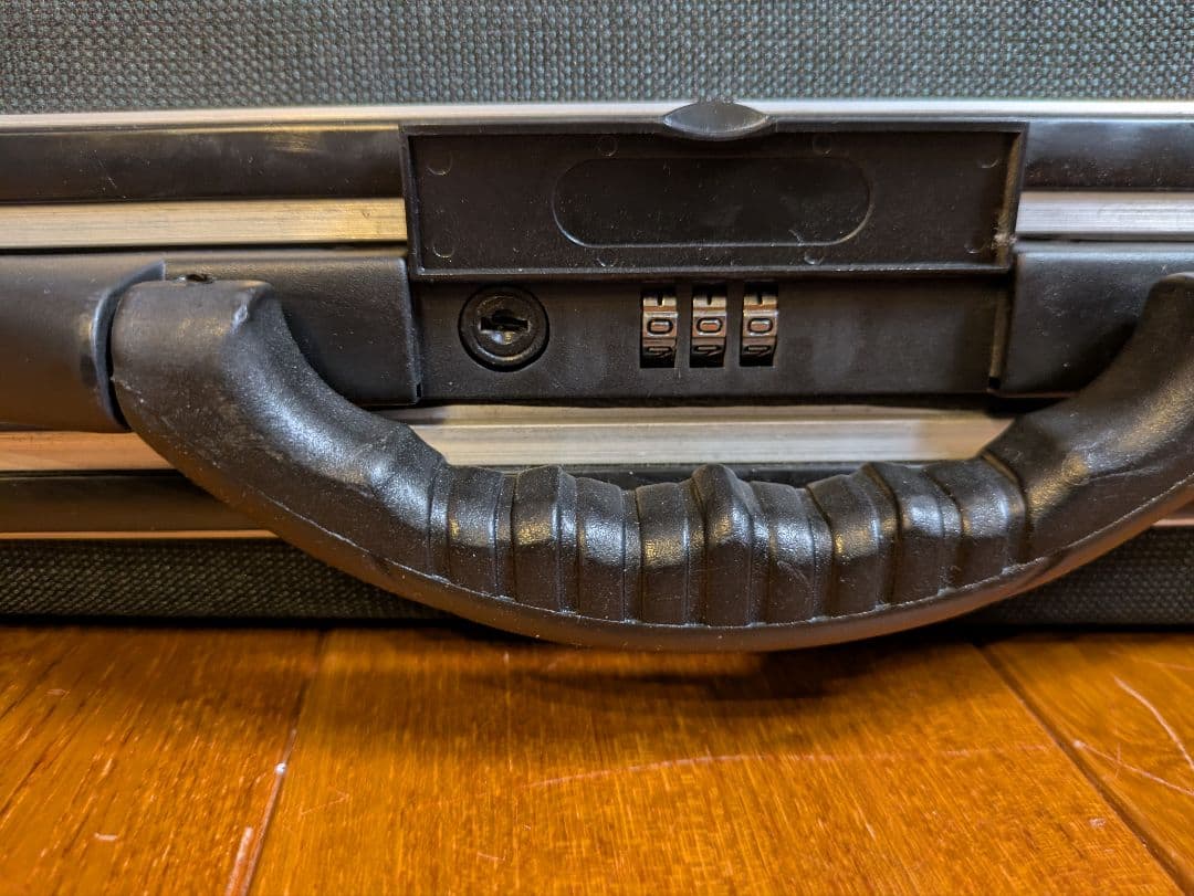 二胡 蘇州琴藝 楽器 現状渡し