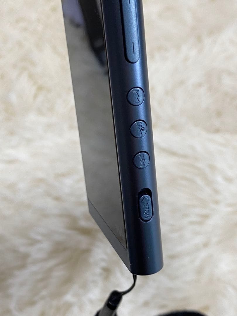 極美品】【動作OK】SONY ウォークマン NW-A55 付属品完備 SD付