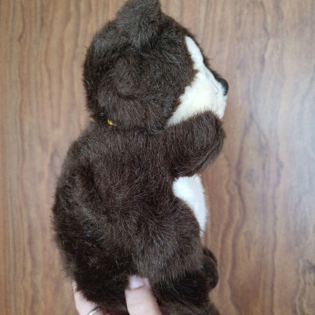 ファースト社 たぬき たま吉 玉吉 昭和レトロ ぬいぐるみ タマキチ