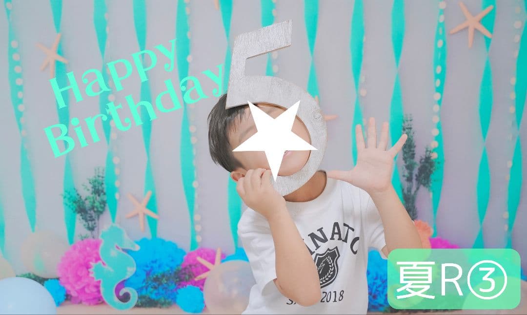 背景布【 ティファニーブルー 】ペット撮影用 キラキラ、ストーン