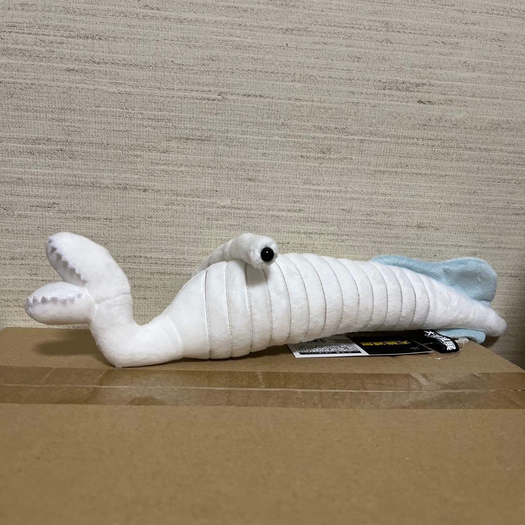 大絶滅展 ぬいぐるみ セット（バラ売りは今のところごめんなさい）