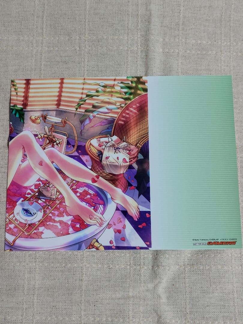 インフィニット・ストラトス 特典ブックカバー 8枚セット