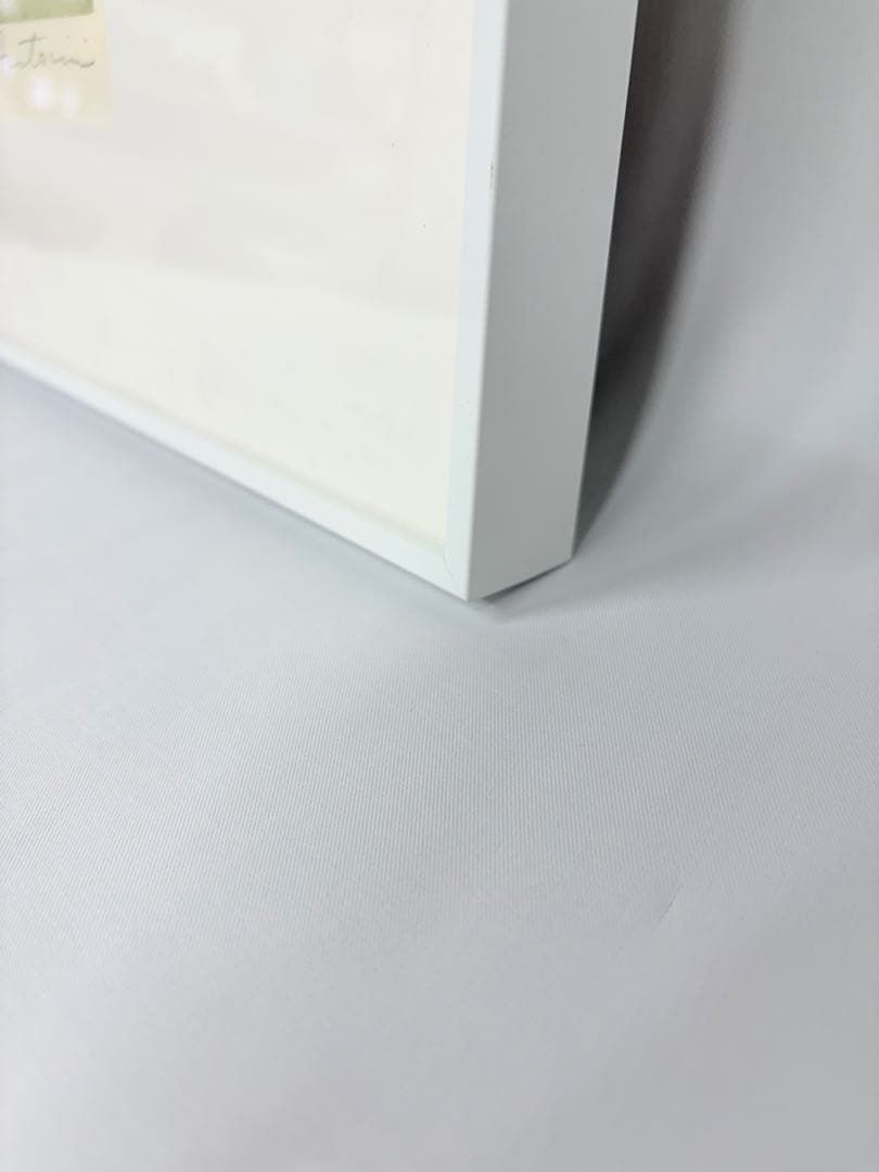 アナピア・アントニーニ 直筆サイン 絵画 リトグラフ 88/99 版画の通販