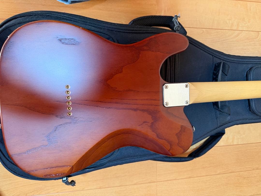 SCHECTER PROGAUGE PS-S-PT ロック式ペッグ交換済み品 - メルカリ