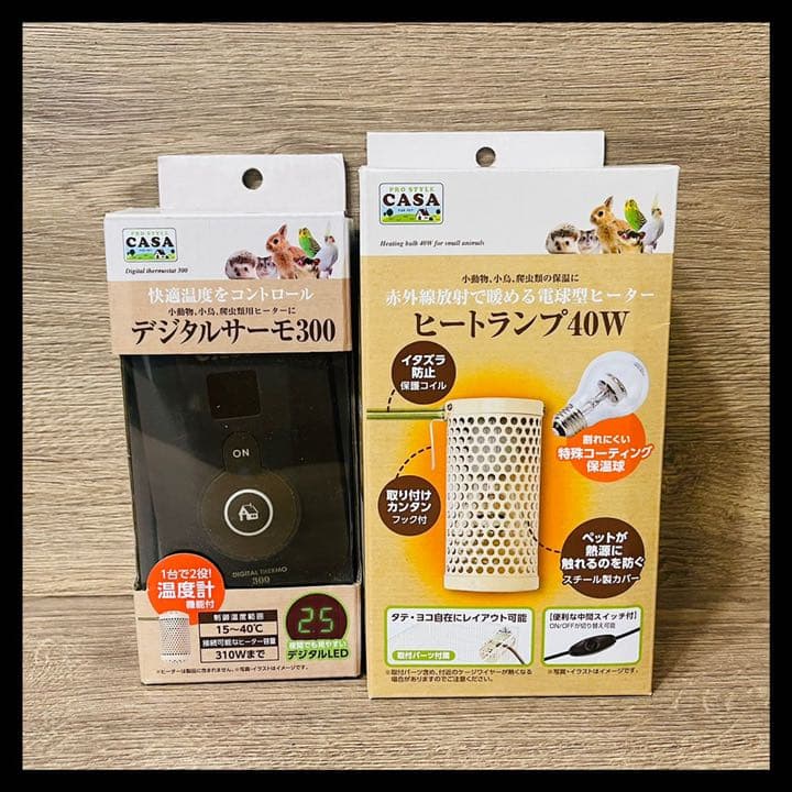 陶房 游騁窯 天坊昌彦 蔦文印盒 香合 茶道具 青磁 小売