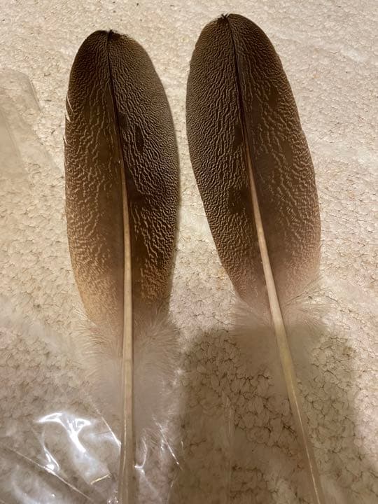 露出精度チェック済】オリンパスペン EES−2 販売済み 30mm F2.8 c3373