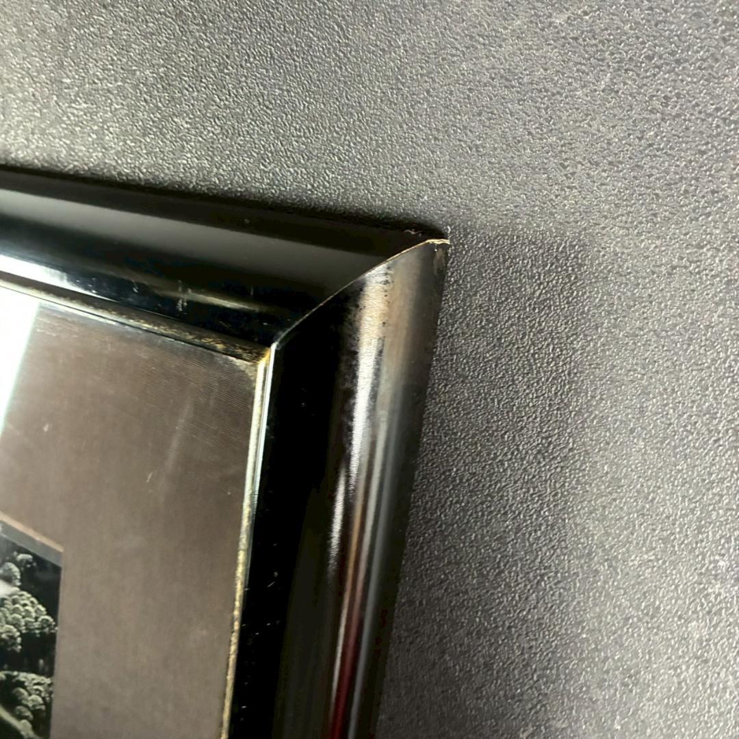 アイベン・アール「ラディアントスプレンダー」シルクスクリーン 大作