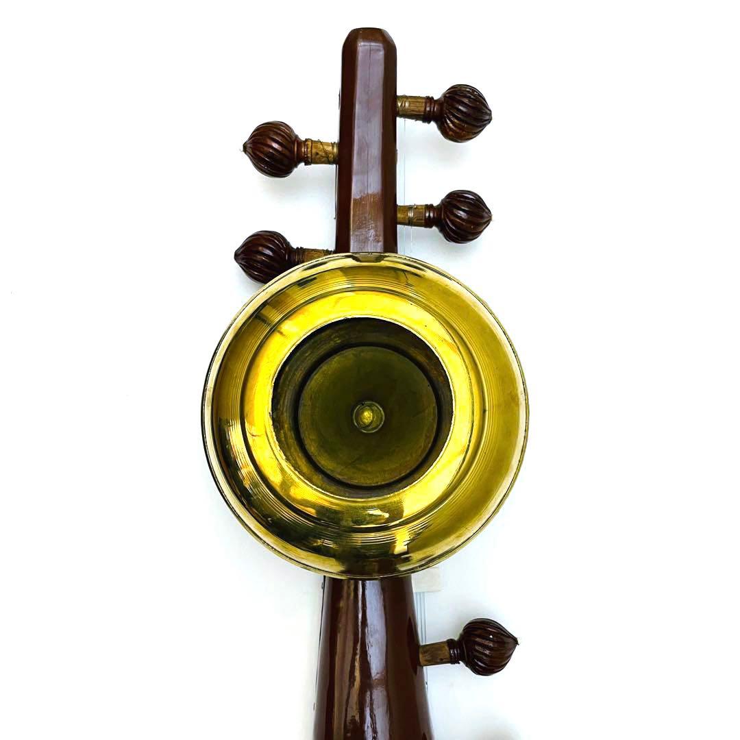 【希少】サロード サロッド SAROD 民族楽器 シタール タンプーラ