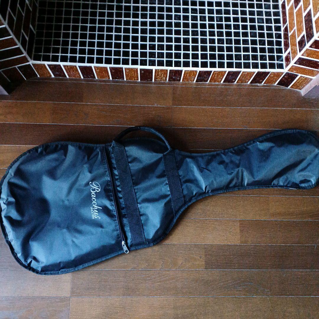 【バッカス】　ブラック ソリッドボディ エレキギター　ソフトケース他付属品