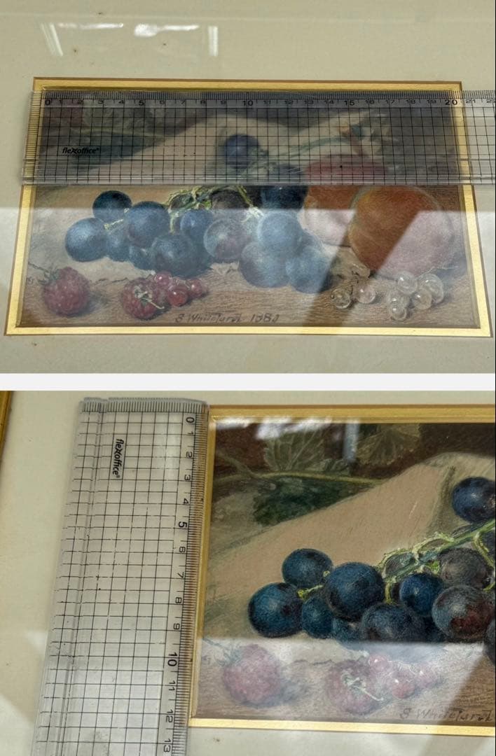 Sidney T. Whiteford 1880年 水彩画 果物の静物 額装