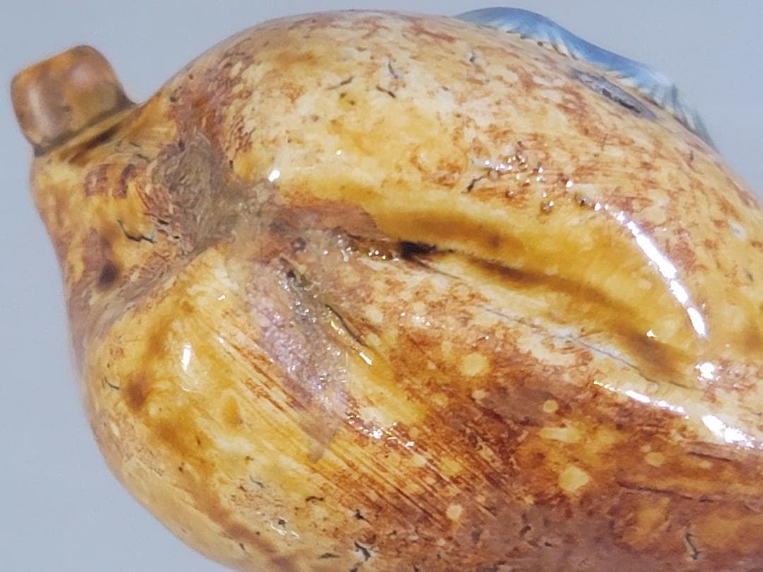 古平戸 貝 青海波紋 水滴 DT355