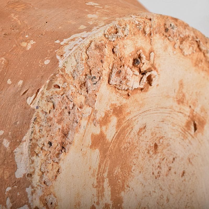 中国 唐三彩 獅子摘 双耳壷 C R8549B - メルカリ