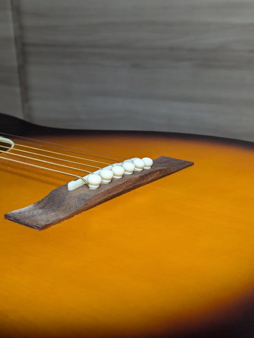 Recording King RPS-9-TS 自身ワンオーナー品 トップ単板 - メルカリ