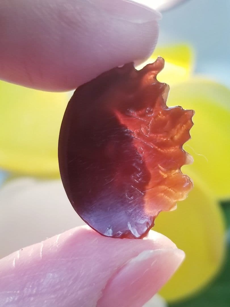 KS-137 【ジェンナロ・ガロファロ】作　天然シェルカメオルース