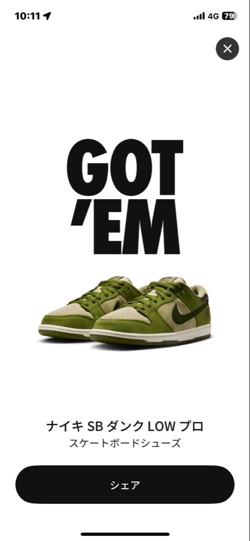 Yuto Horigome × Nike SB Dunk Low 27cm