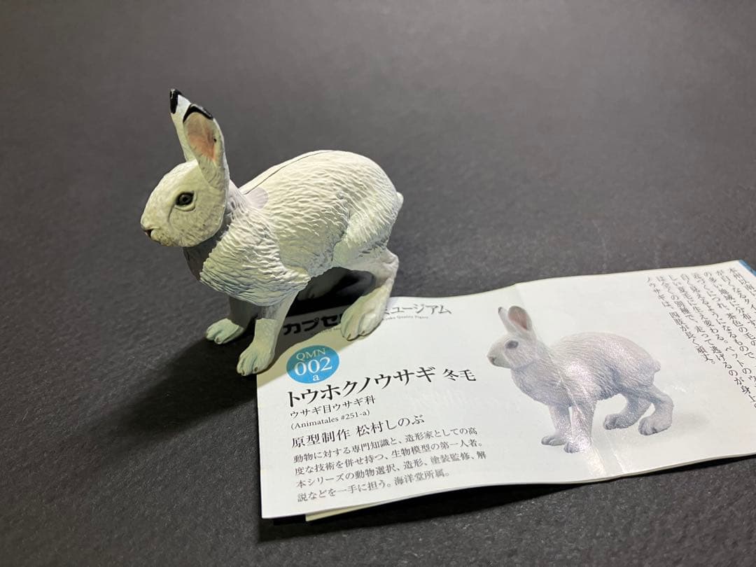 カプセルQミュージアム 日本の動物コレクション1 トウホクノウサギ冬毛