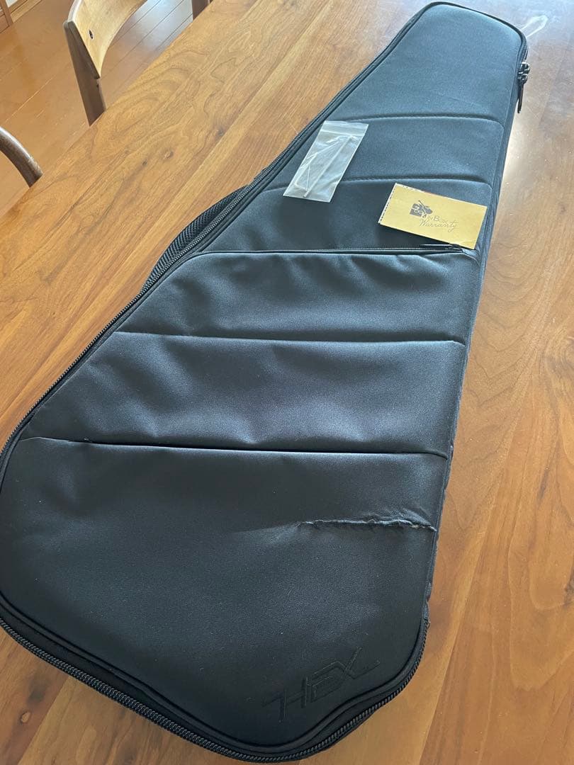 HEX Guitars N400アイボリー