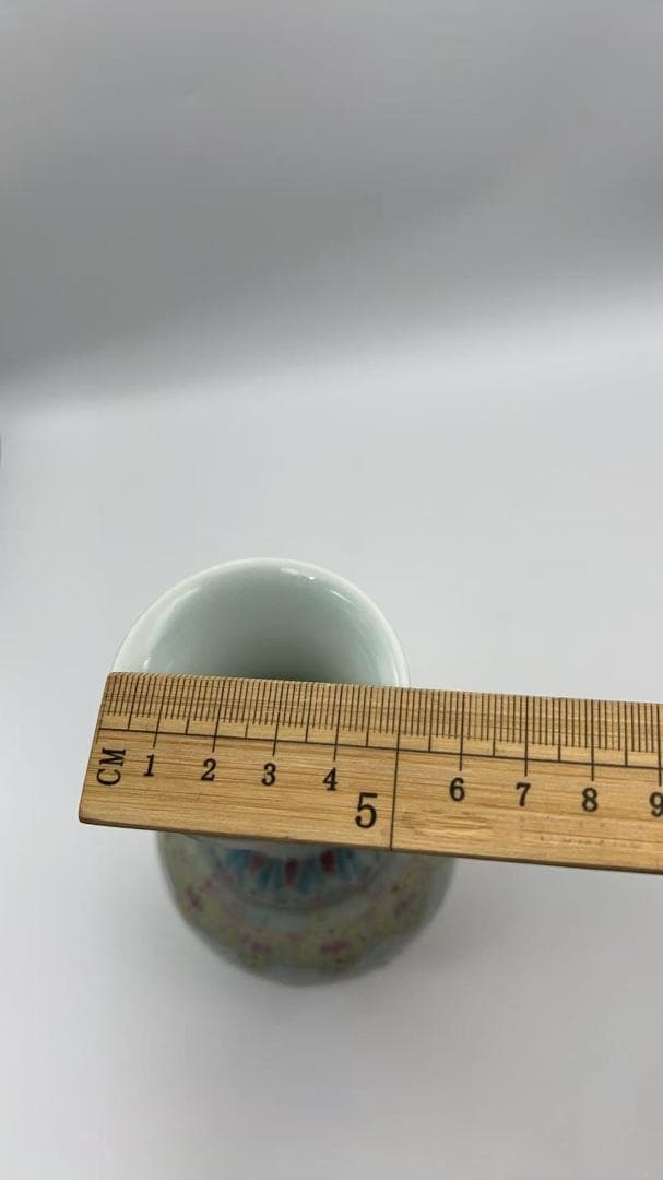 清乾隆時代 【大清乾隆年製】在銘 粉彩吉祥龍鳳文橄欖