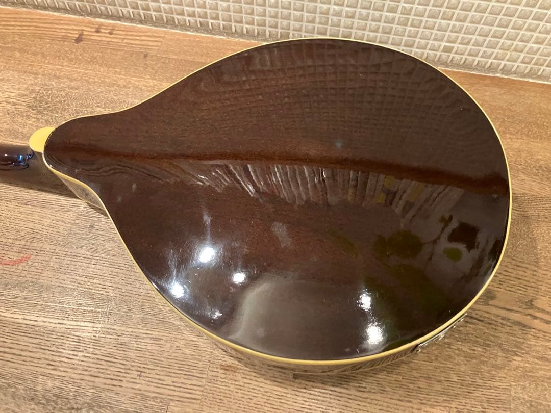 aria エレキマンドリン (Ritter ケース付き)