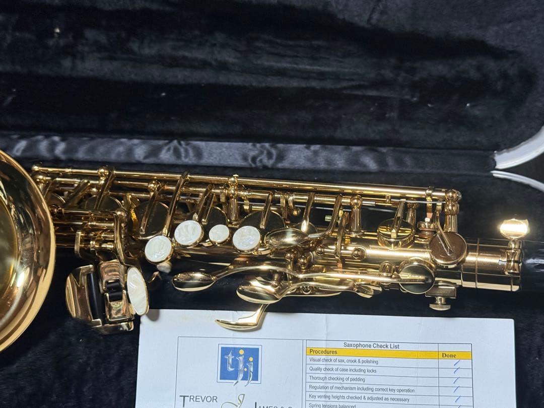 美品 トレバージェイムス アルトサックス THE HORN Revolution