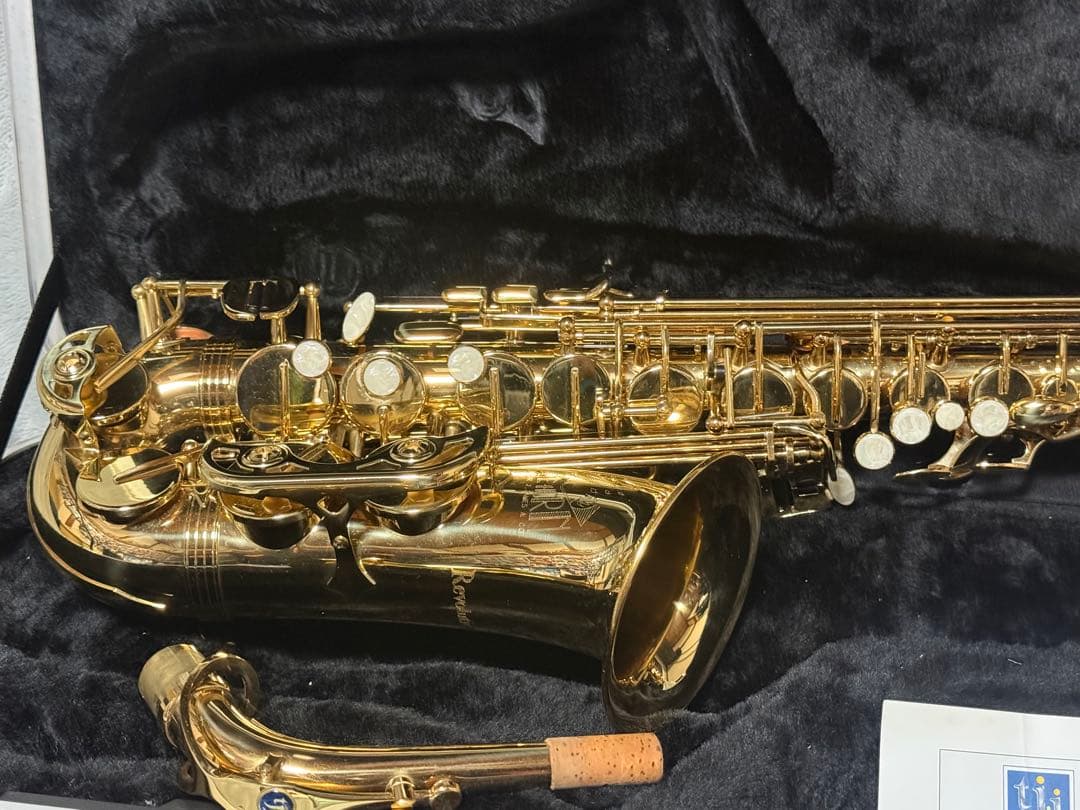 美品 トレバージェイムス アルトサックス THE HORN Revolution