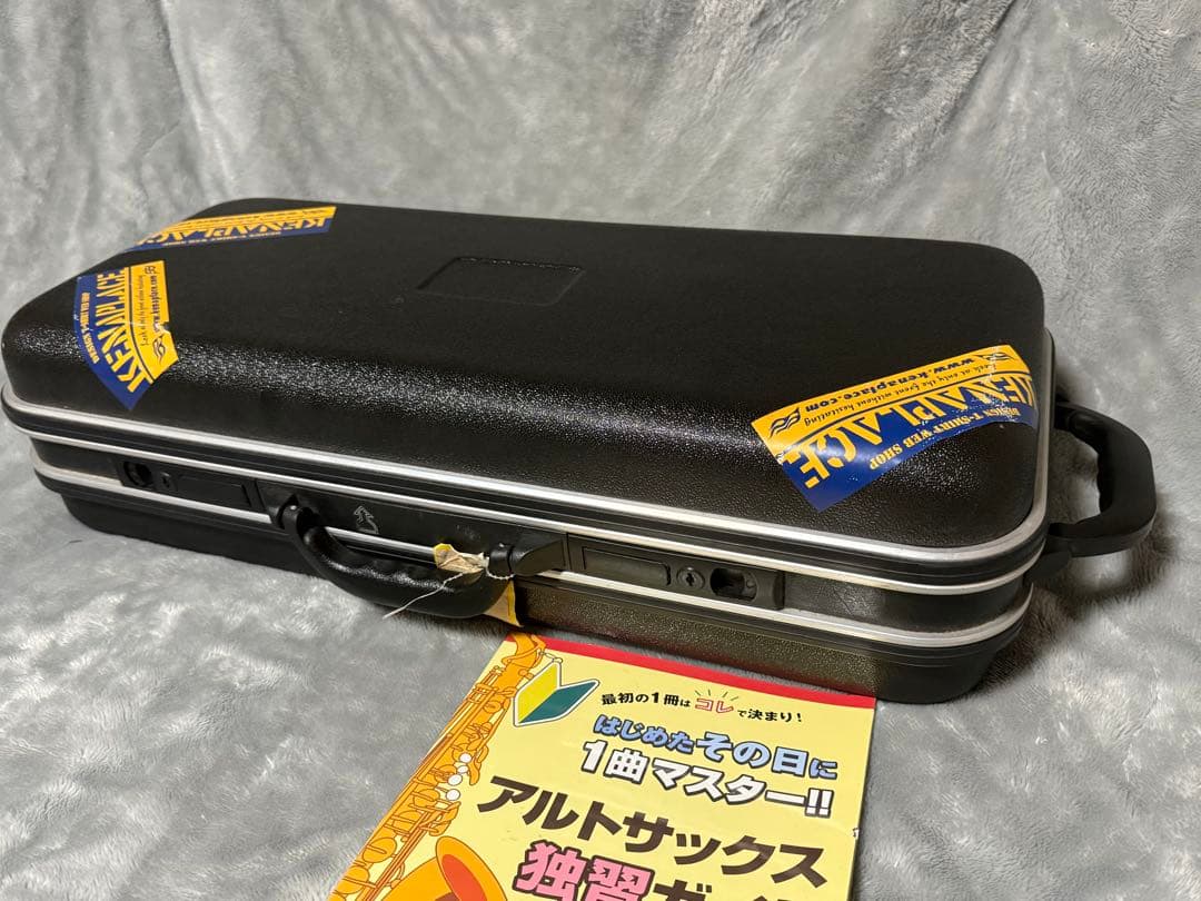 美品 トレバージェイムス アルトサックス THE HORN Revolution