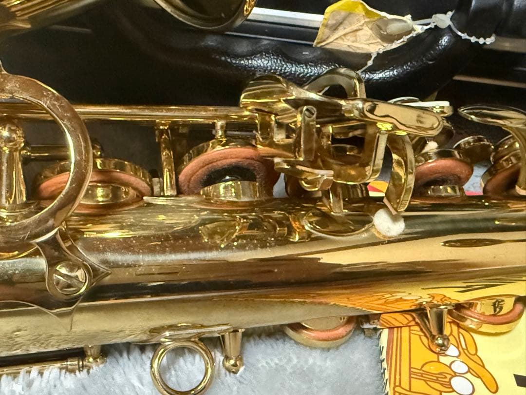 美品 トレバージェイムス アルトサックス THE HORN Revolution