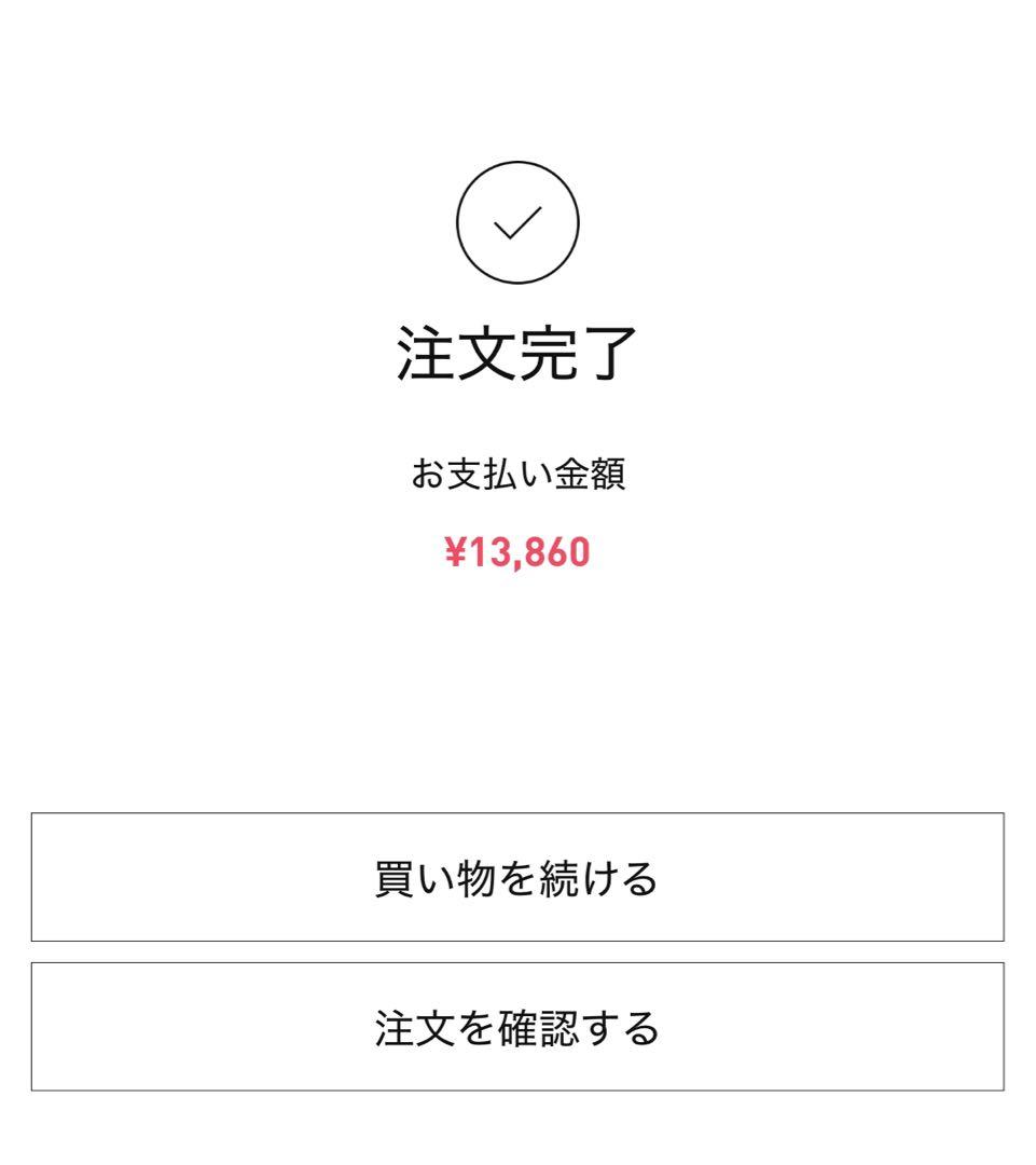 正規品 本物Big into Energy ROCK THE UNIVERSE