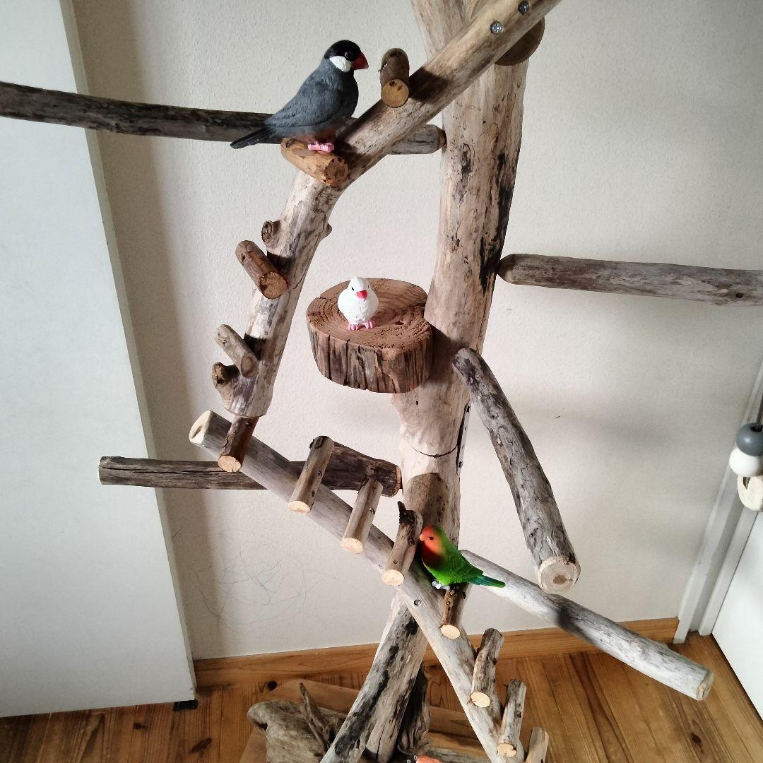 バードアスレチックジム大型 ㊹ 天然木 自然木 流木 止まり木 インコ