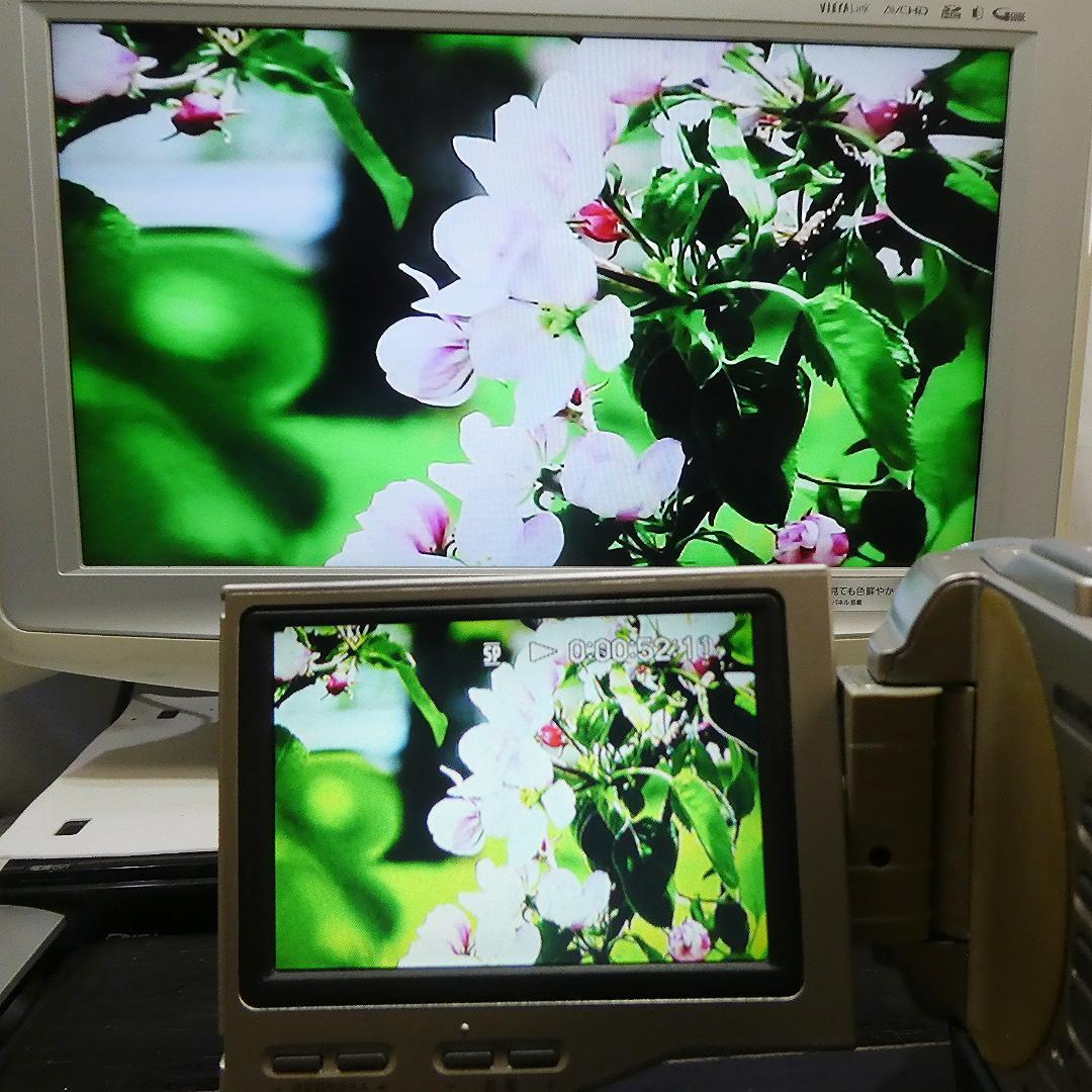 動作品ソニー DCR-TRV10 MiniDVビデオカメラ　DVDダビングに最適