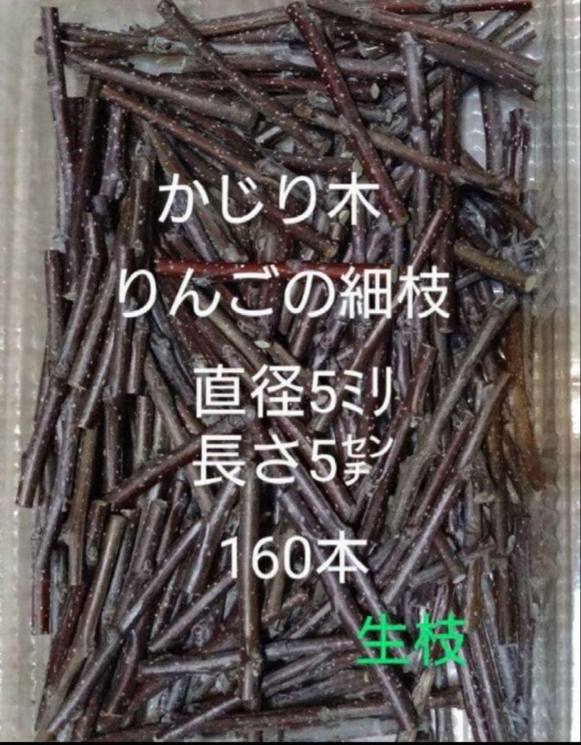 かじり木りんごの細枝160本 短いサイズ - メルカリ