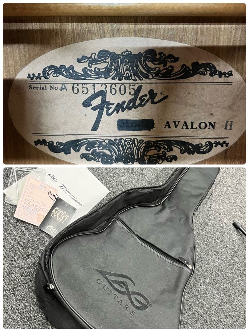 11101】Fender acoustic AVALON 2 楽器・機材