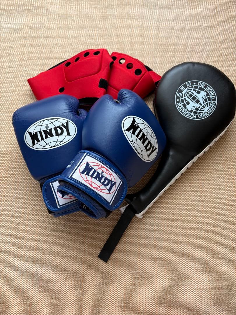 金欠学園長 様専用 WINDY ボクシンググローブ ブラウン 金欠学園長
