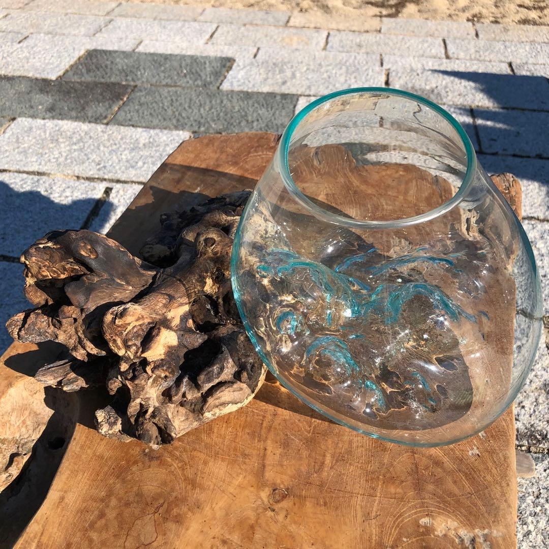 流木ガラス オブジェ特大A 花瓶 金魚鉢 ガーデニング テラリウム 観賞